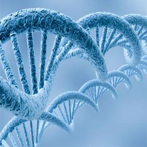 حدود ۴۰۰ بیماری ژنتیکی در کشور قابل تشخیص است