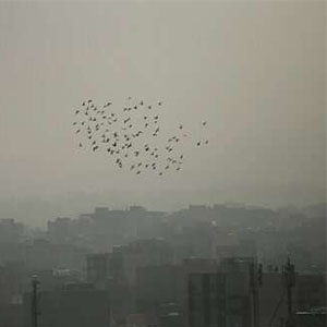 خسارت سالانه ۵.۷ میلیارد دلاری مرگ زودرس بر اثر آلودگی هوا