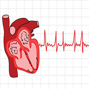 با یک آزمایش ساده ظرف ۳۰ ثانیه از سلامت قلب خود مطمئن شوید