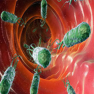 پیشگیری از عفونت‌های بد با تعقیب باکتری‌های خوب