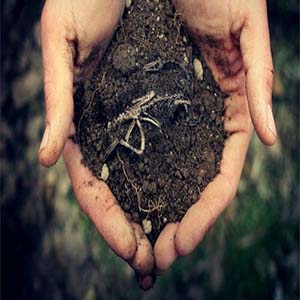ضرورت مطالعه در زمینه آلودگی خاک به "آنتیموان" در چند استان خاص