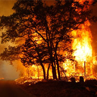 آتش به جان 107 هکتار از جنگل های هیرکانی گیلان