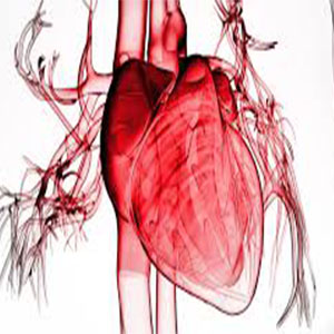 بررسی امکان اهدای عضو از بیمار فوت شده بر اثر عارضه قلبی