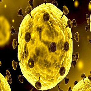 فوت یک بیمار مبتلا به کرونا در البرز