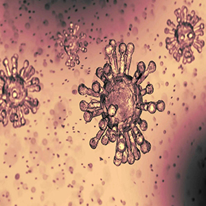 کووید-19 در برابر آلرژی؛ تفاوت علائم در چیست؟