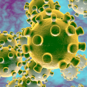 آیا ویروس کرونا با نیش حشرات منتقل می‌شود؟