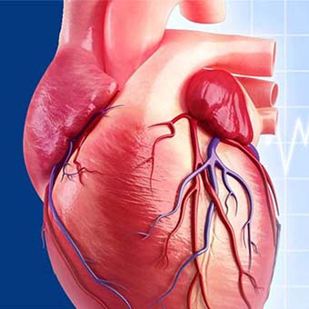 نقش سلامت قلبی‌عروقی در مقابله با کووید-19