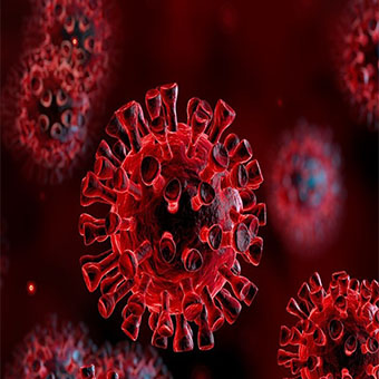 ویروس کرونا در چه دمایی از بین می‌رود؟
