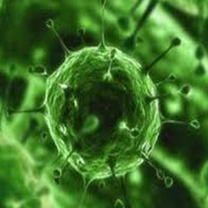 ویروس كرونا چه نسبتی با جهانی شدن‌دارد