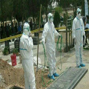 جدل «ویروسی»