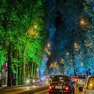 تبعات آلودگی نوری شهرها برای انسان‌ها و محیط زیست
