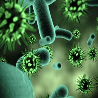 آیا میکروب‌ها در سلامت انسان‌ها نقش دارند؟
