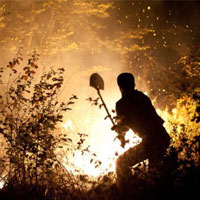 وقوع آتش‌سوزی‌ جنگلی طی ماه‌های آینده دور از انتظار نیست