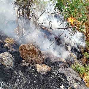 کنترل آتش سوزی جنگل های خائیز کهگیلویه