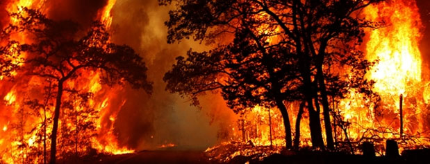پیدا و پنهان آتش‌سوزی جنگل‌ها