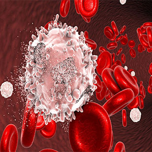 درمان سرطان خون با مهار یک پروتئین