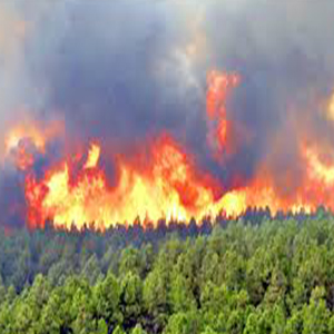 تامین تجهیزات اطفاء حریق و بالگرد برای مهار آتش سوزی در جنگل‌های کهگیلویه و بویراحمد