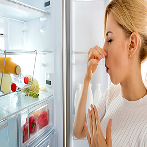 چگونه از بوی بد یخچال خلاص شویم؟