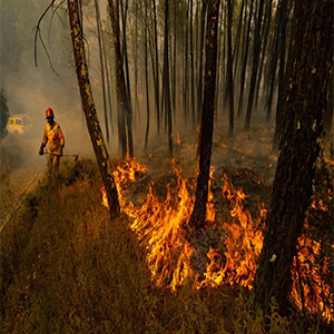 وقوع ۳۰۰ فقره آتش‌سوزی در جنگل‌ها و مراتع طی ۱۰ روز