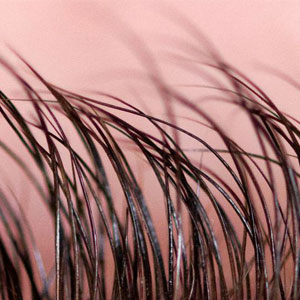 8 چیزی که موی بدن درباره سلامتی می‌گوید