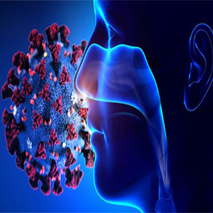 راهکارهایی برای بازگرداندن حس بویایی بعد از درمان کرونا +اینفوگرافیک