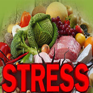 رژیم غذاییِ موثر برای غلبه بر استرس و اضطراب