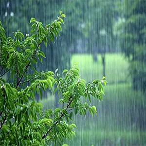 بارش باران در استان‌های شمالی/ وزش باد پدیده غالب جنوب کشور است