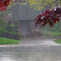 هشدار هواشناسی نسبت به وقوع رگبار شدید باران در جنوب کشور