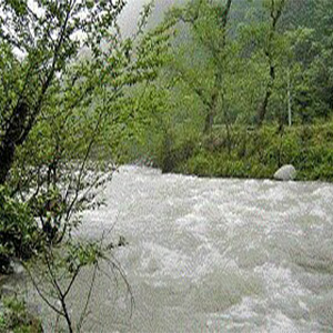 هشدار سازمان هواشناسی نسبت به بالا آمدن آب رودخانه ها / کشاورزان مراقب محصولات خود باشند!