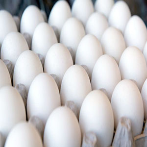 سنگینی تخم طلای مرغان در سبد خانوار