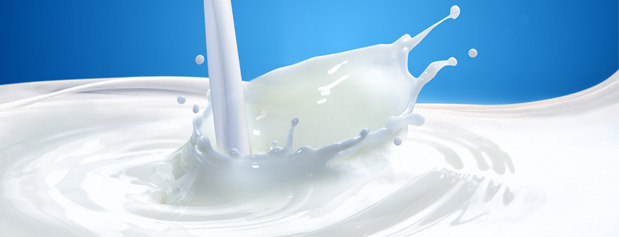 تفاوت بین انواع شیر/ چرا شیرهای قدیمی سرشیر داشت؟