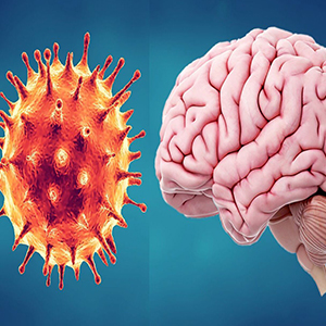 ویروس کرونا از طریق سیستم ایمنی بر مغز تاثیر می‌گذارد