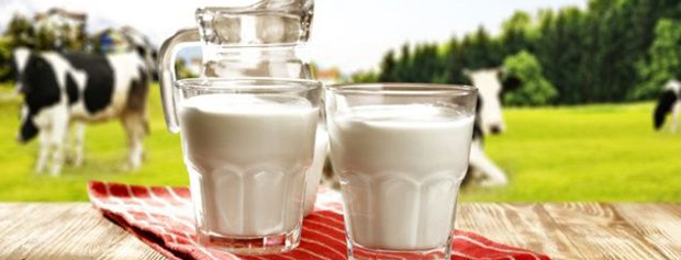 سرانه مصرف شیر در کشور نصف میزان توصیه شده ی متخصصین