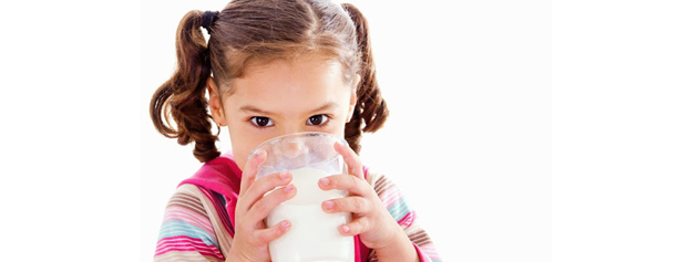 چرا مزه شیرهای سنتی با شیر کارخانه ای متفاوت است؟