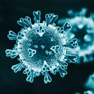 ماهیت و ژنتیک دقیق ویروس کووید۱۹ در ایران شناسایی شد