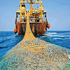 اخراج کشتی‌های خارجی صید ترال از خلیج‌فارس