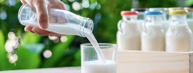 تاثیر شیر بر جلوگیری از بیماری هایی مانند سرطان