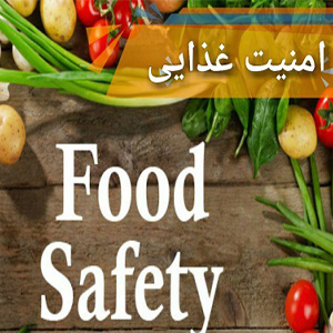 امنیت غذایی چگونه تامین می شود/ویژگی های تغذیه سالم