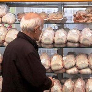 وزارت بهداشت: مرغ های سایز کوچک سالمتر هستند