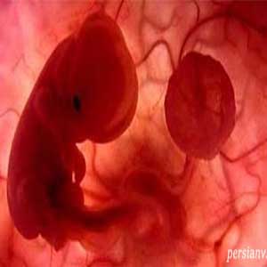 فواید قرص«یدوفولیک» در بارداری