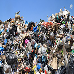 درآمد ۴ هزار میلیارد تومانی شهرداری تهران از از جمع‌آوری و بازیافت زباله‌های خشک به صورت ماهیانه!