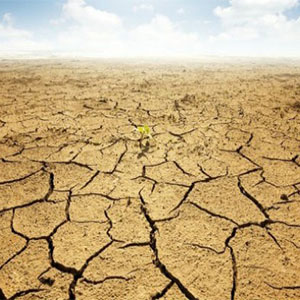 حاکمیت خشکسالی شدید در بیشتر نقاط کشور