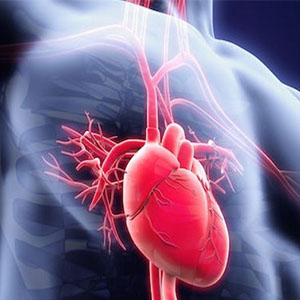 دلایل و عوارض التهاب عضله میوکارد قلب