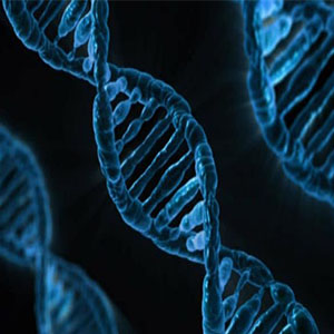 تراشه‌ای که می‌تواند تست‌های ژنتیکی را ساده‌تر کند
