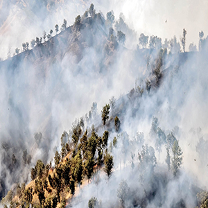 ۱۳۰۰دمنده برای کنترل آتش‌ در 17/7 میلیون هکتار جنگل‌ ایران
