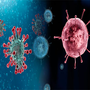 تفاوت ویروس آفریقایی با دیگر ویروس‌های کرونا