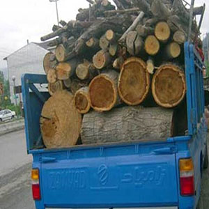 راه‌اندازی سامانه چوب در کشور/پلاک خودروهای غیرمجاز حامل چوب