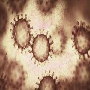 ویروس‌ها و باکتری‌ها از طریق قندها سلول‌های بدن ما را آلوده می‌کنند