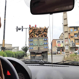100میلیارد تومان گردش مالی قاچاق چوب در ایران
