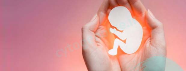 پیامدهای لغو سقط درمانی / افزایش کودکان ناقص الخلقه